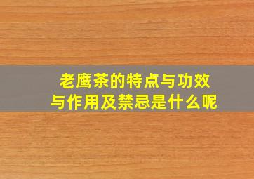 老鹰茶的特点与功效与作用及禁忌是什么呢