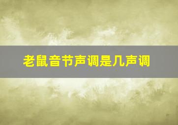 老鼠音节声调是几声调