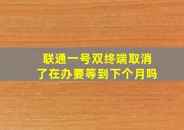 联通一号双终端取消了在办要等到下个月吗