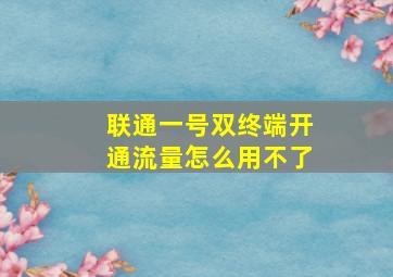 联通一号双终端开通流量怎么用不了