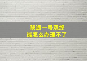 联通一号双终端怎么办理不了