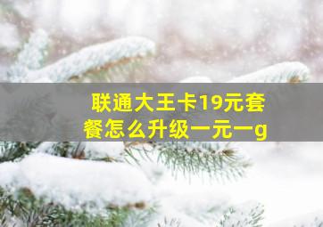 联通大王卡19元套餐怎么升级一元一g