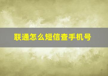 联通怎么短信查手机号