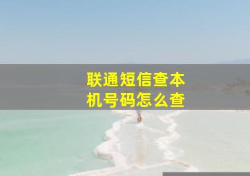 联通短信查本机号码怎么查