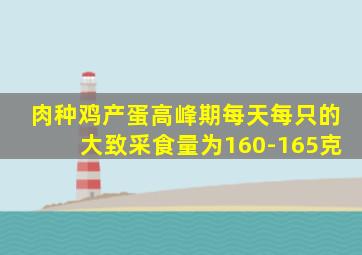 肉种鸡产蛋高峰期每天每只的大致采食量为160-165克