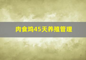 肉食鸡45天养殖管理