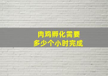 肉鸡孵化需要多少个小时完成