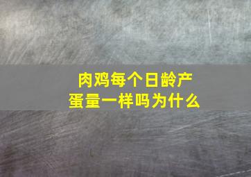 肉鸡每个日龄产蛋量一样吗为什么