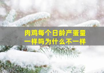 肉鸡每个日龄产蛋量一样吗为什么不一样