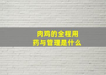 肉鸡的全程用药与管理是什么