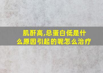 肌酐高,总蛋白低是什么原因引起的呢怎么治疗