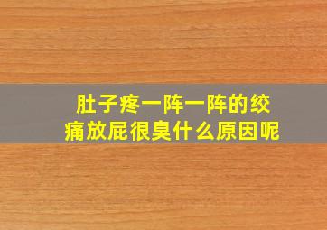 肚子疼一阵一阵的绞痛放屁很臭什么原因呢