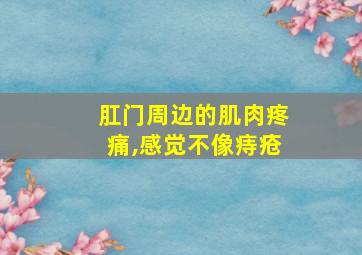 肛门周边的肌肉疼痛,感觉不像痔疮