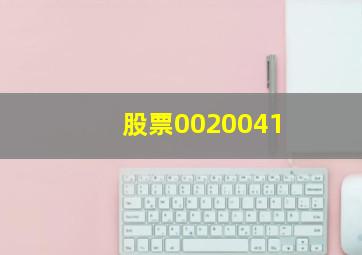 股票0020041