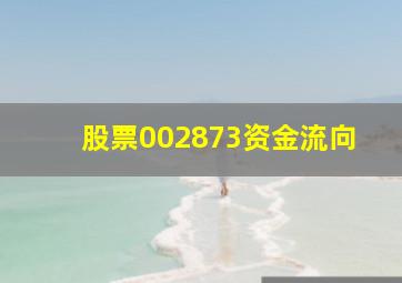 股票002873资金流向