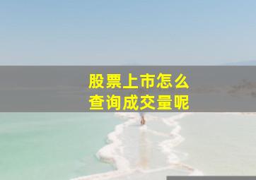 股票上市怎么查询成交量呢