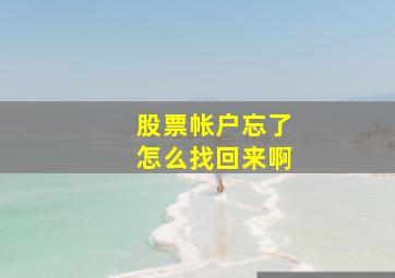 股票帐户忘了怎么找回来啊