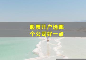 股票开户选哪个公司好一点