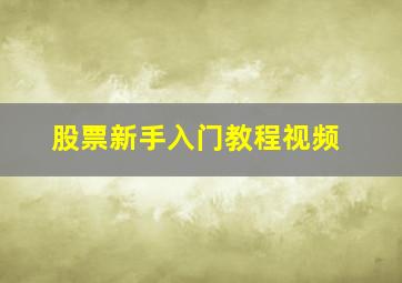 股票新手入门教程视频