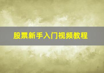 股票新手入门视频教程