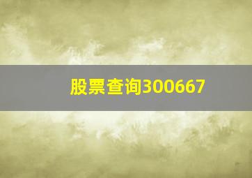 股票查询300667