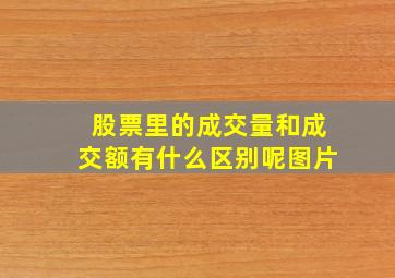 股票里的成交量和成交额有什么区别呢图片