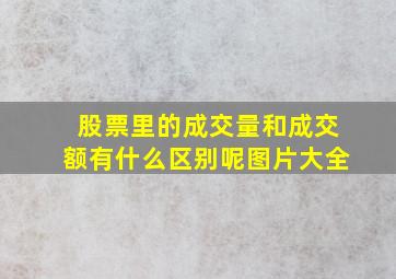 股票里的成交量和成交额有什么区别呢图片大全