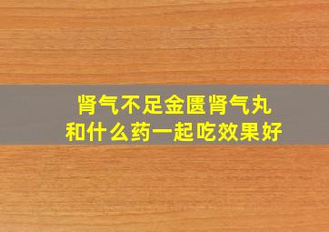 肾气不足金匮肾气丸和什么药一起吃效果好