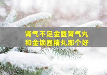 肾气不足金匮肾气丸和金锁固精丸那个好