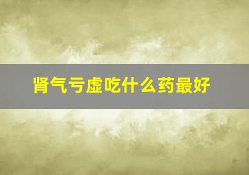 肾气亏虚吃什么药最好