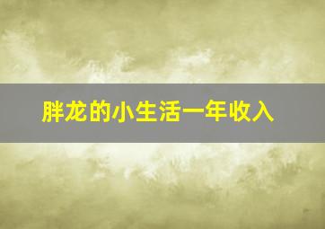 胖龙的小生活一年收入