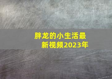 胖龙的小生活最新视频2023年