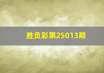 胜负彩第25013期