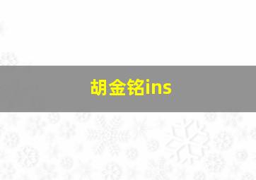 胡金铭ins