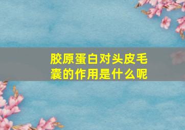 胶原蛋白对头皮毛囊的作用是什么呢