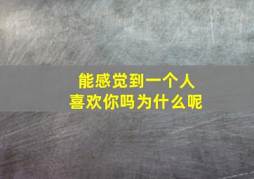 能感觉到一个人喜欢你吗为什么呢