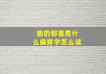 能的部首是什么偏旁字怎么读