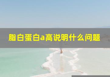 脂白蛋白a高说明什么问题