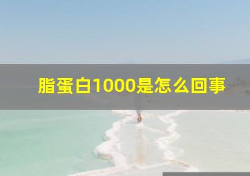 脂蛋白1000是怎么回事