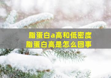 脂蛋白a高和低密度脂蛋白高是怎么回事