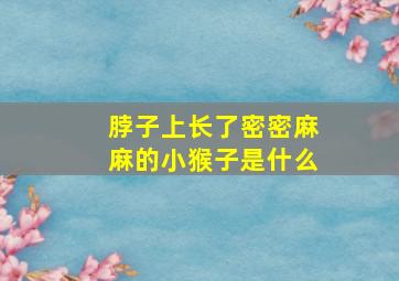 脖子上长了密密麻麻的小猴子是什么