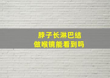 脖子长淋巴结做喉镜能看到吗