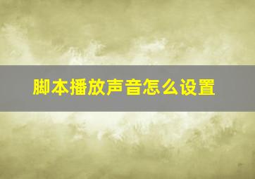 脚本播放声音怎么设置