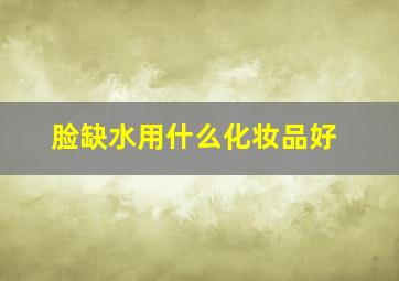 脸缺水用什么化妆品好