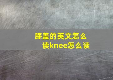 膝盖的英文怎么读knee怎么读