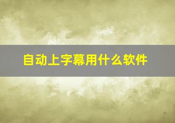 自动上字幕用什么软件