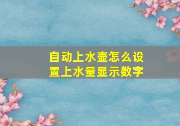 自动上水壶怎么设置上水量显示数字