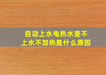 自动上水电热水壶不上水不加热是什么原因