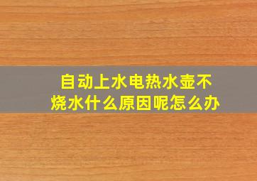 自动上水电热水壶不烧水什么原因呢怎么办