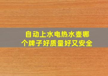 自动上水电热水壶哪个牌子好质量好又安全